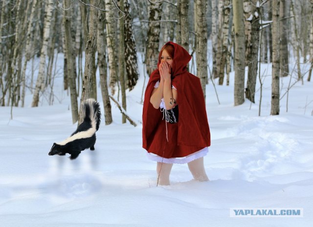 Фотожаба: "Заплутала"