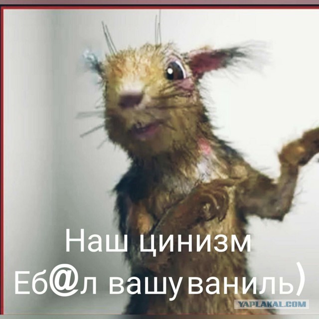Как быть виноватой всегда и во всем - инструкция