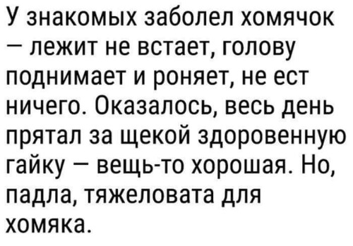 Бредзона 21.03.2021