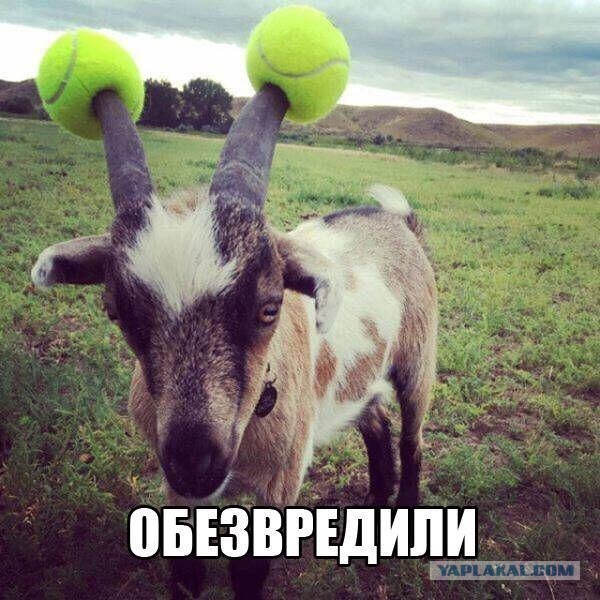 Получила по щам