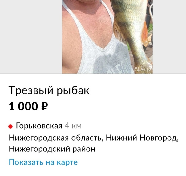Всякие разные картинки 14.07.21