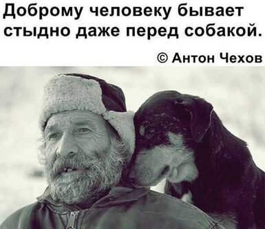 Баянисто-небаянистый юмор 10.09.21