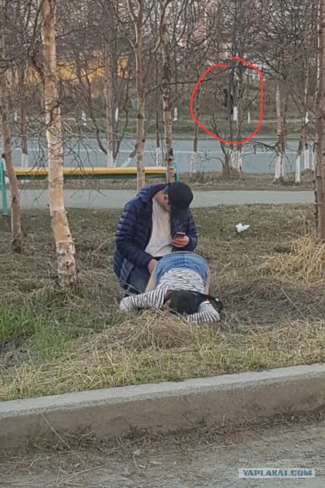 Скотсети и прочие интернеты 22.10.2021