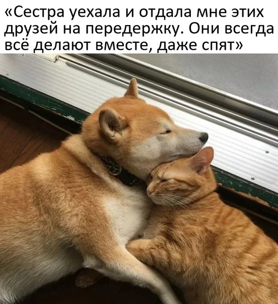 Один шаг и она начнется