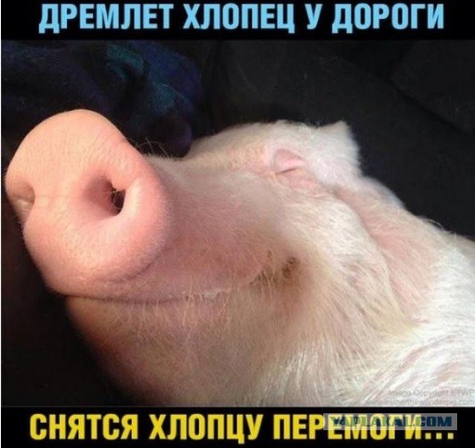 Наши оставили Гостомель