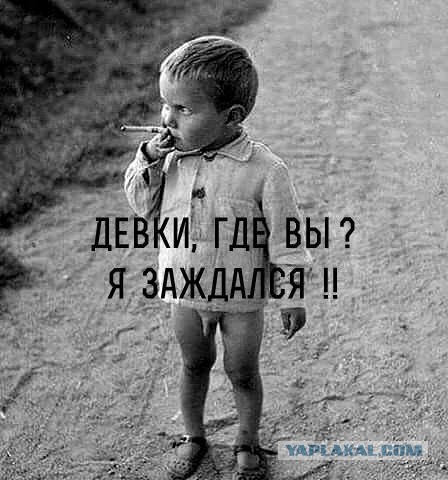 Ябфдулы, ваш выход!