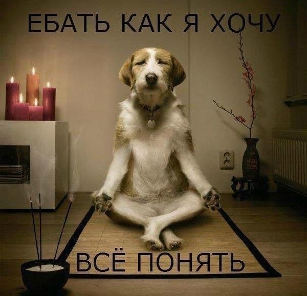 Пятница и девушки обитаемого острова