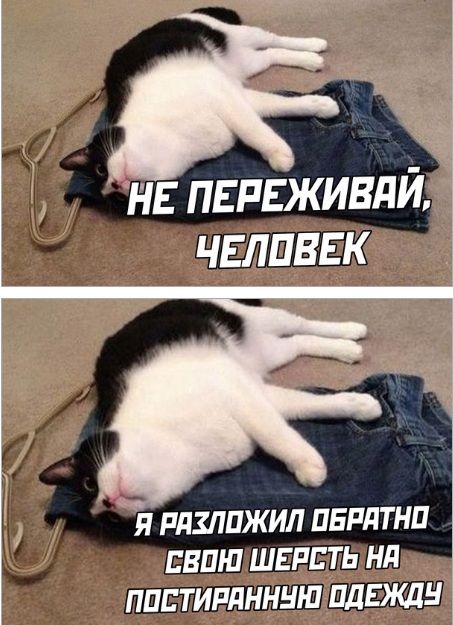 Картинки и мемы для настроения - 11