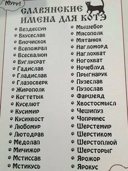 Приехал с работы домой, а тут...вот