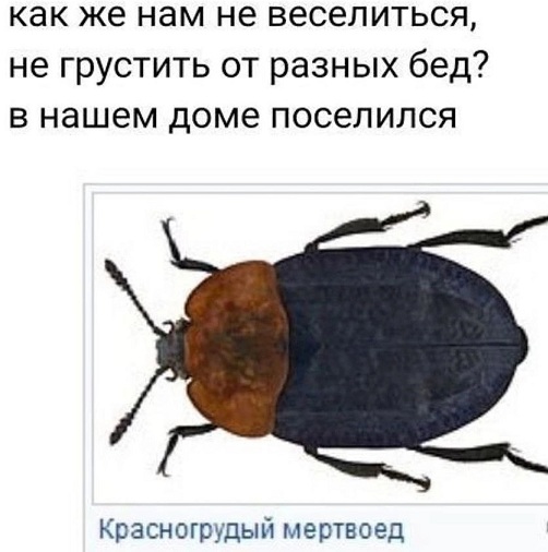 Вы там не мерзнете?