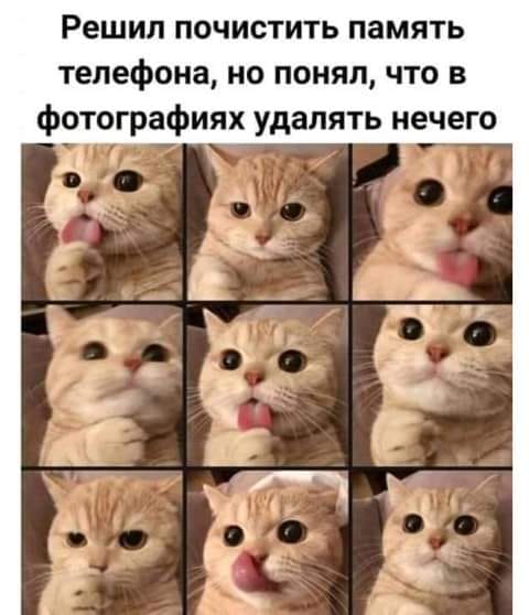Картинки и мемы, всем хороших выходных