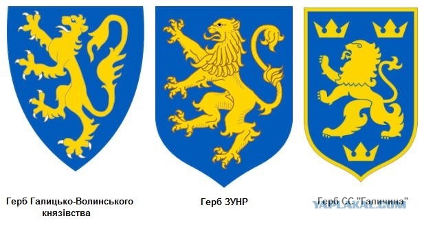 Украинский суд отказался считать нацистской символику дивизии СС «Галичина»