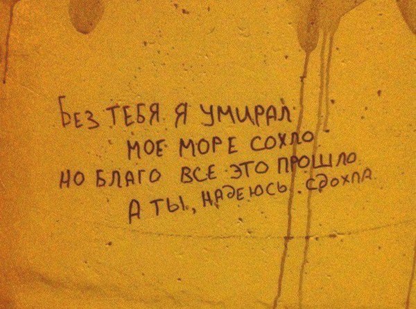 На заборе