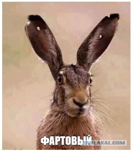 Как я стал охотником