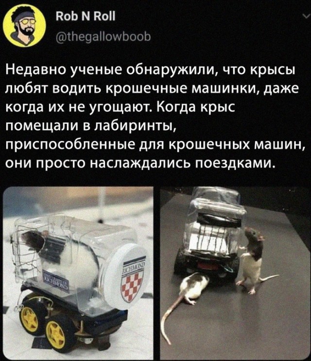 Картинки и мемы, всем хороших выходных