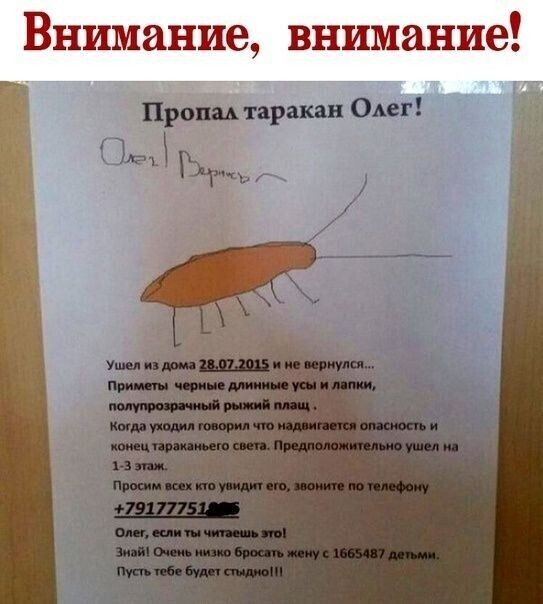 Юмор в картинках и без 24.04.2023