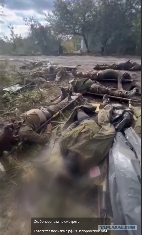 Мужчина, похожий на убийцу Веры Пехтелевой, воюет на СВО, хотя он должен был сидеть 17 лет