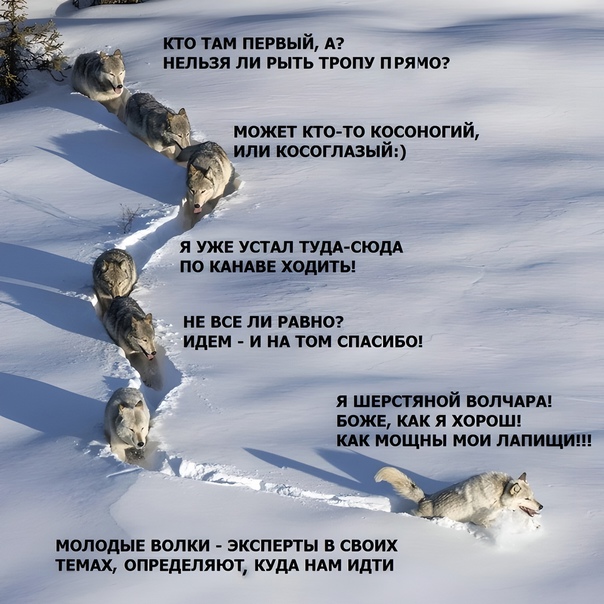 Год назад. Доклад ООН про изменение климата: худшее впереди