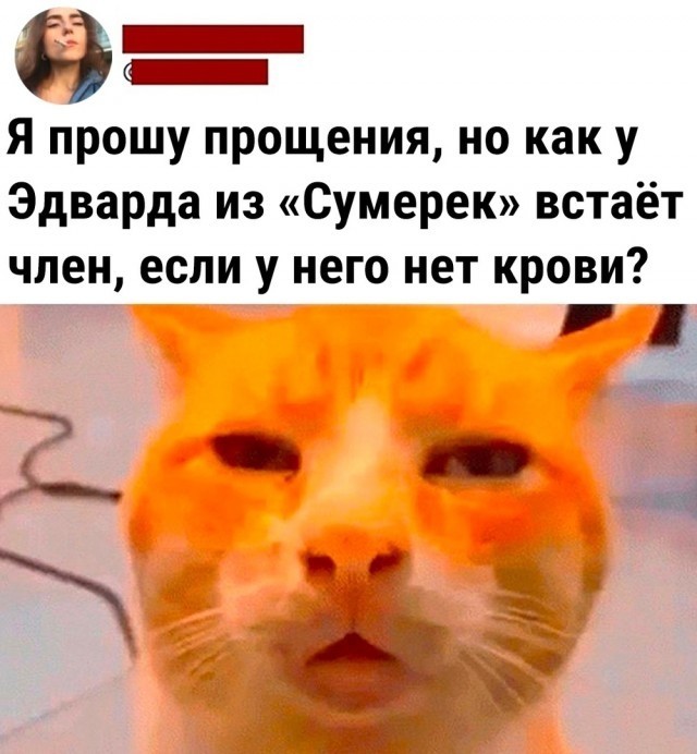 Так себе картинки 28.07.23