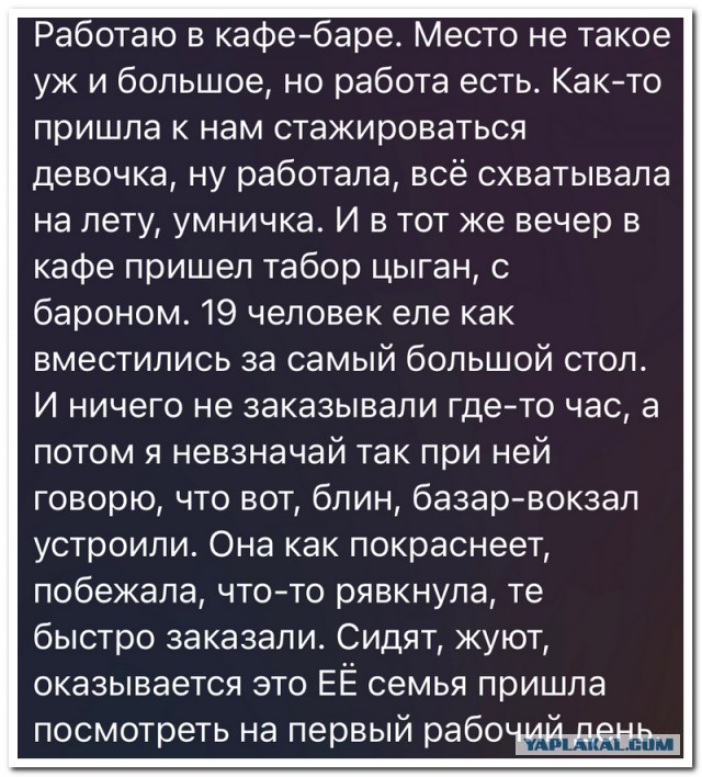 Забавные комментарии из социальных сетей (07.08.23)