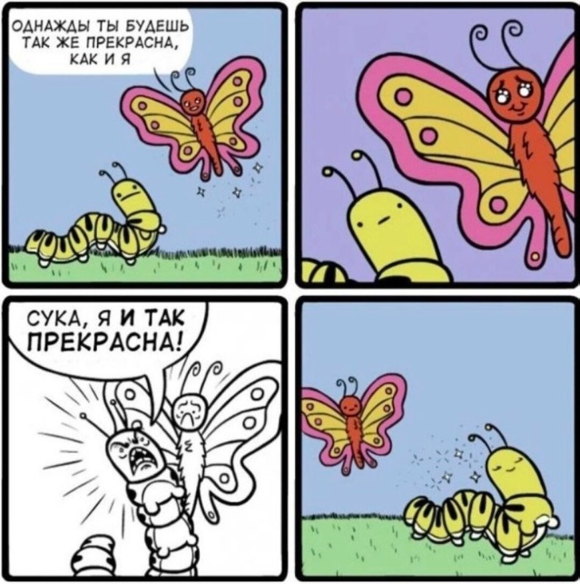 Так себе картинки 27.08.23