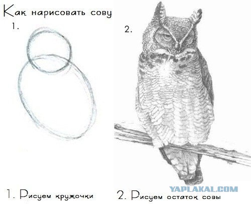 Как изготовить хорошие колонки