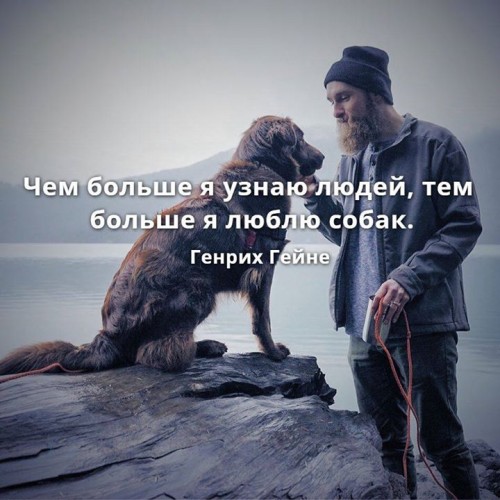 Мысли 55 летнего мужчины после свидания с некрасивой женщиной