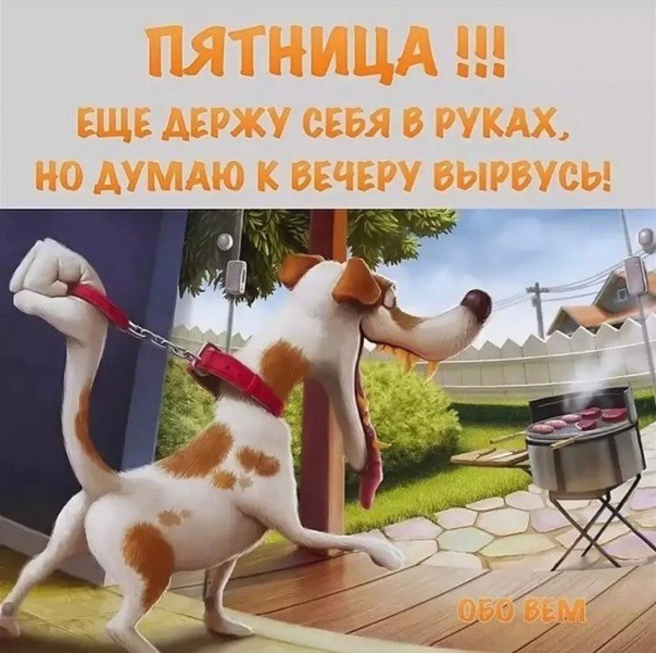 Заключительная порция баянов в уходящем году