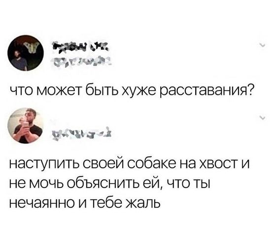 Весёлый полтшок 09.05.24