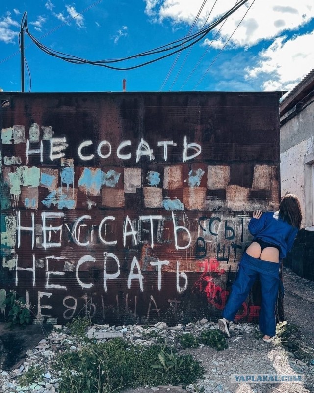 Так себе картинки 23.05.24