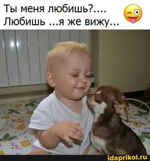 Прикольные и просто красивые картинки 24.05.2024