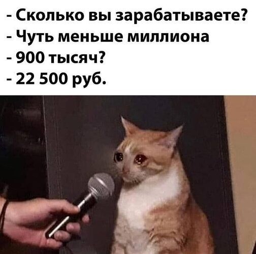 Старайтесь внимательно читать пункты договора