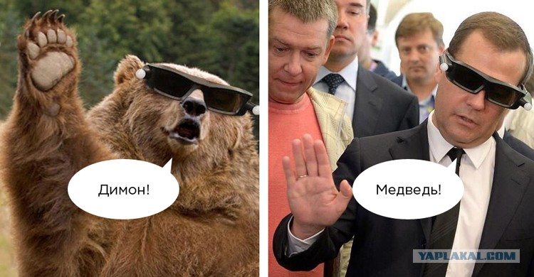 Прикольные картинки димон