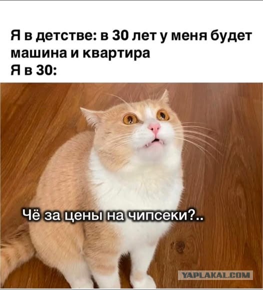 Веселые картинки в последний рабочий день уходящего года (28.12)