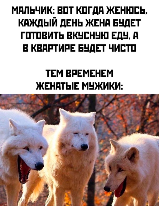 И готовить наверно умеет