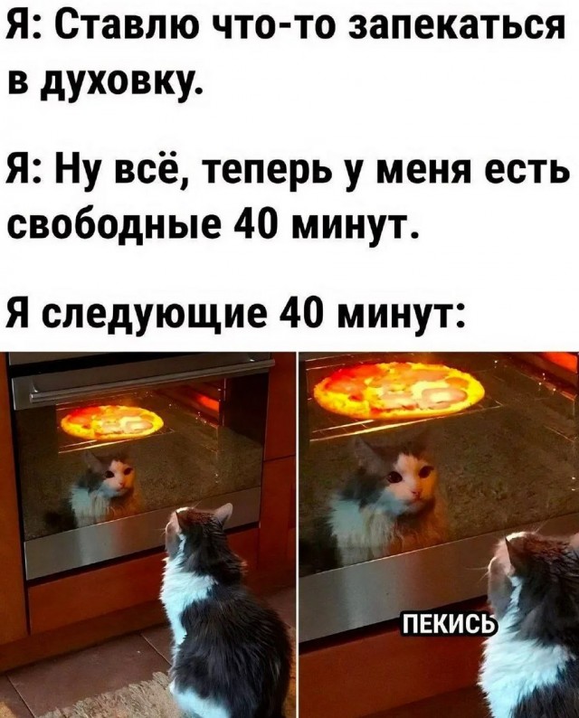 К котовторнику: подборка картинок-баянов с котиками и про котиков. Выпуск 4