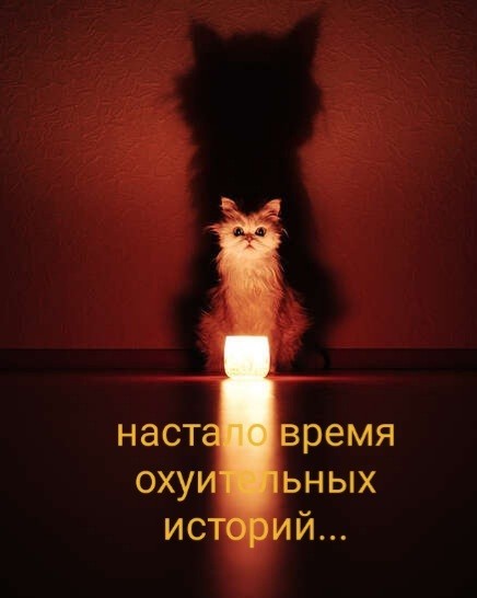 Как нас проверяет Вселенная