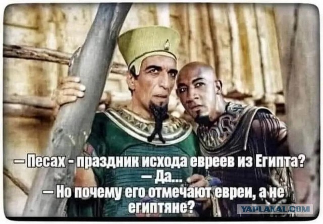 Своеобразный юмор картинок
