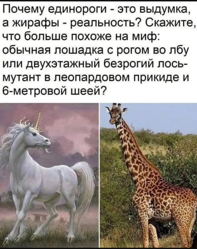 Так себе картинки 14.06.25