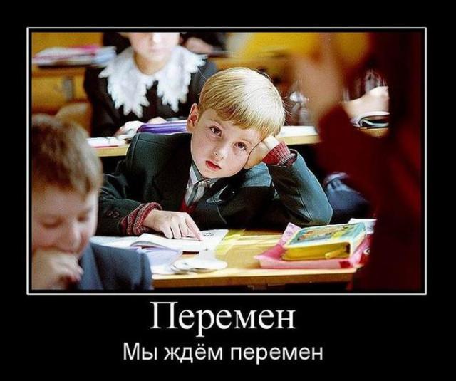 Картинки для деградации 65 (разной степени свежести)