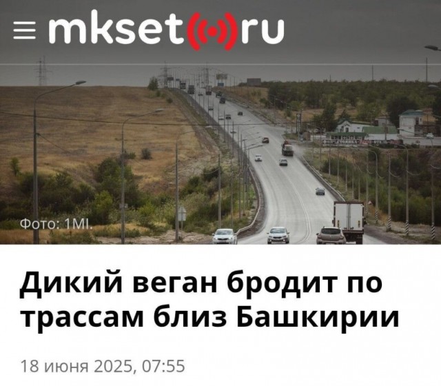 Люди, прогуливающие кладбище