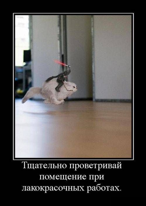 Воскресные картинки