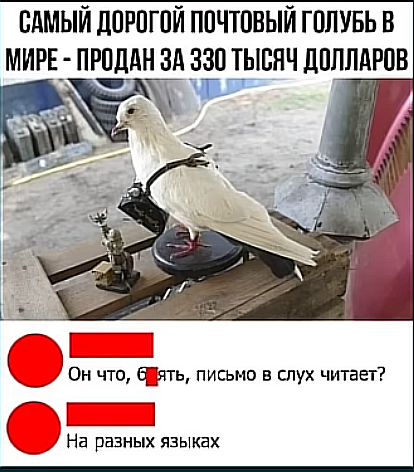 20862247.png