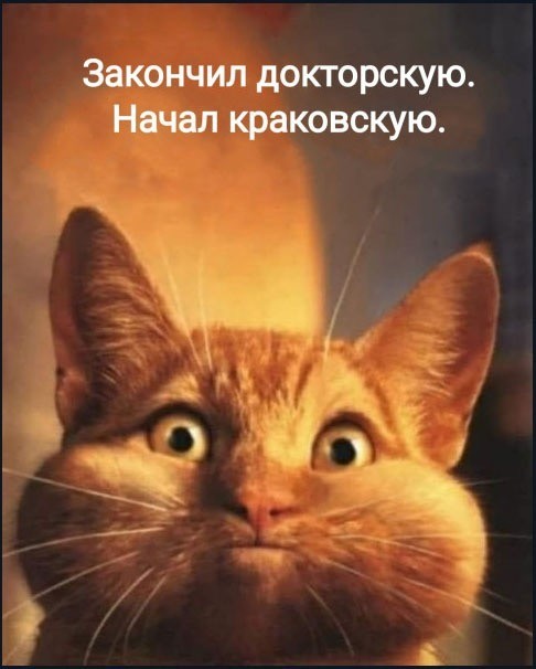 К котовторнику: подборка картинок-баянов с котиками и про котиков. Выпуск 36.