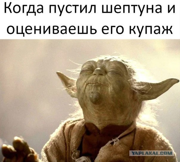 Натаха переехала в Германию и никак не может привыкнуть