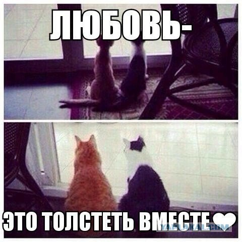 Нашёл заначку девушки...