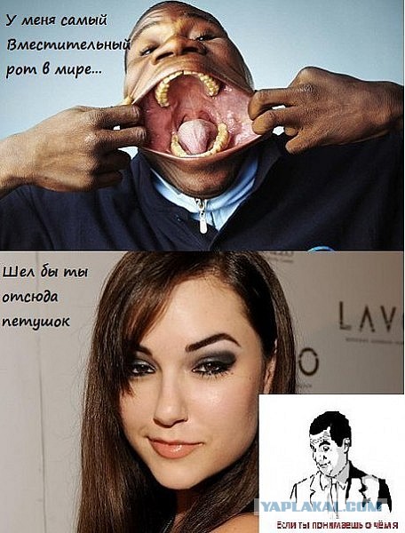 Я и Саша Грей