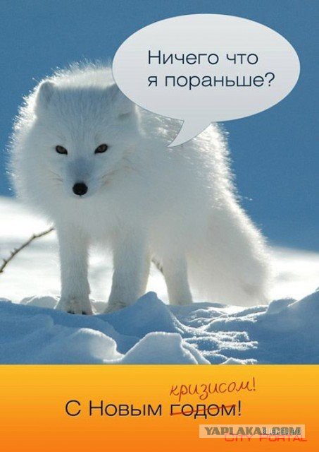 Война не повод для смеха, но....