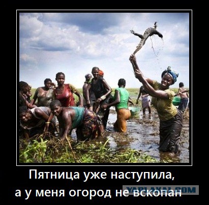 Чёрт, чёрт, чёрт!