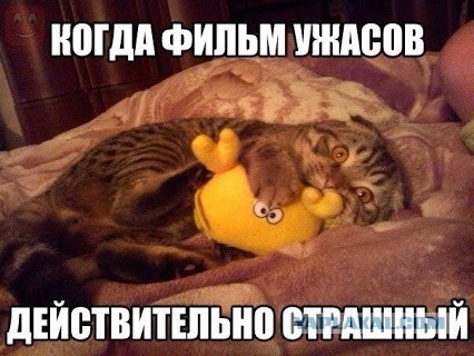 Так...солянка